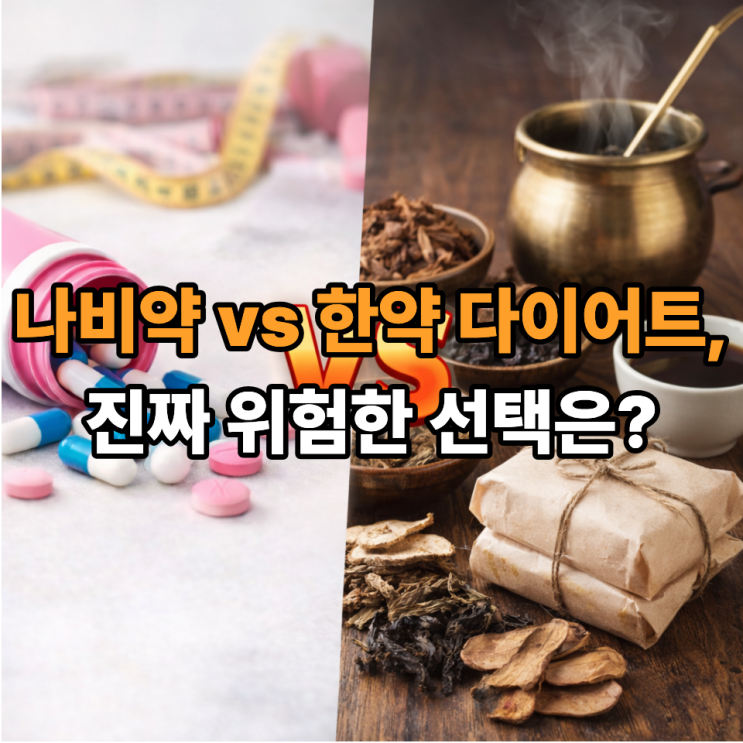   나비약 vs 한약 다이어트, 뭐가 더 위험할까? 솔직 비교 정리