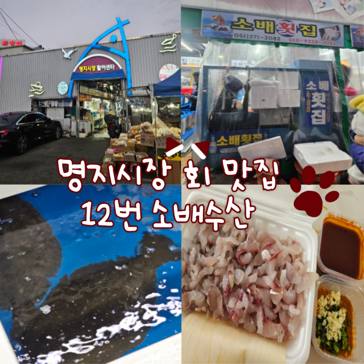  명지시장 회 맛집: 소배(회가 정말 싱싱하고 씹히는 맛이 일품이네요!)