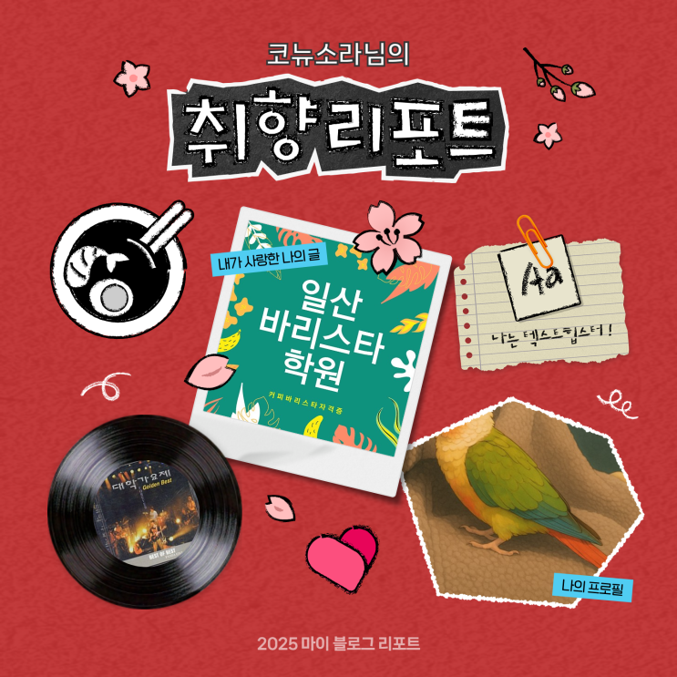  [2025 마이 블로그 리포트] 데이터로 채워보는 내 블로그 취향 리포트