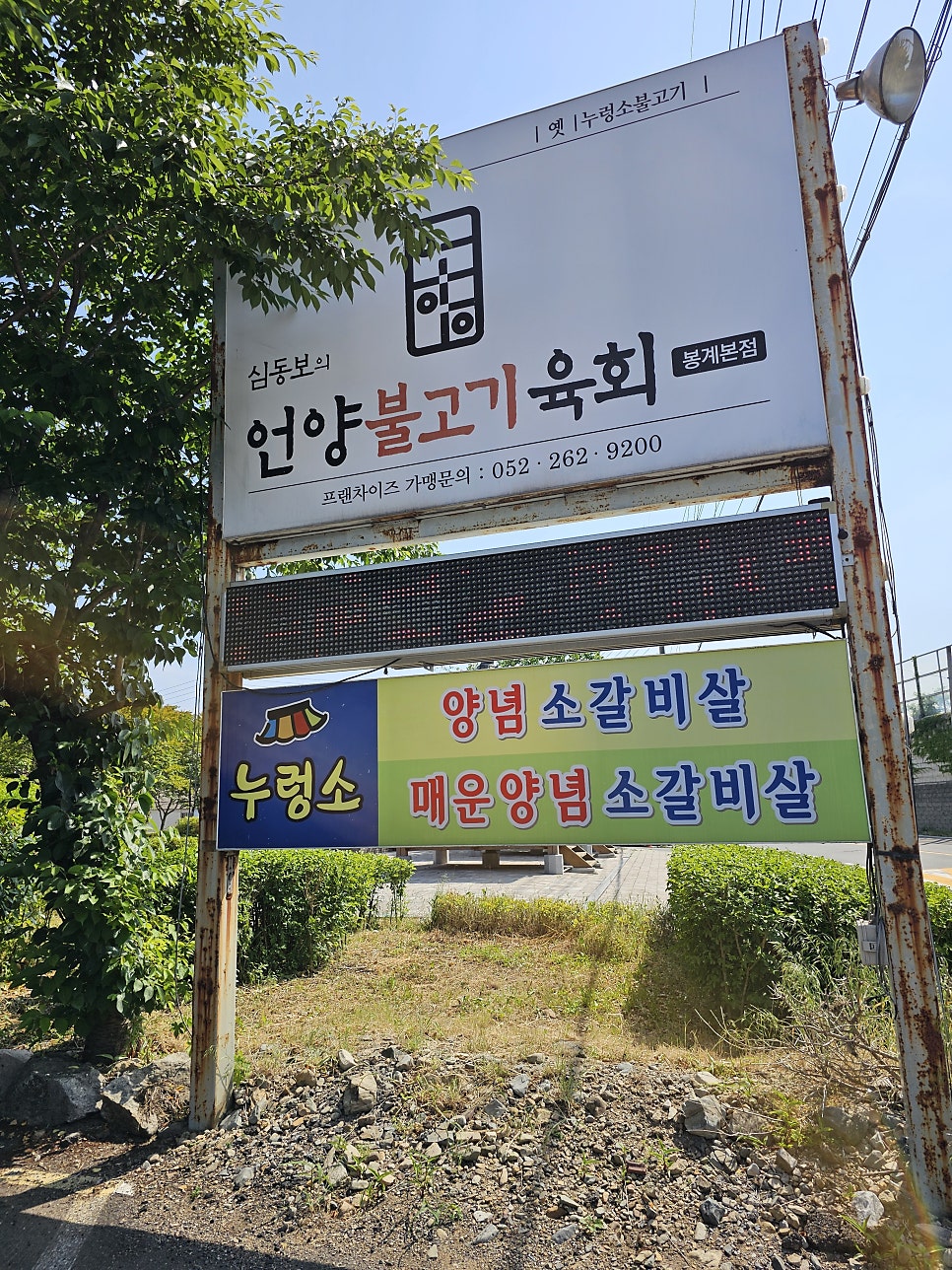 누렁소불고기 사진 2
