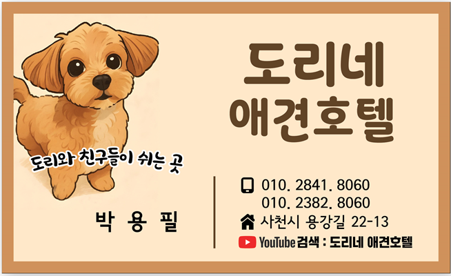 사진 10