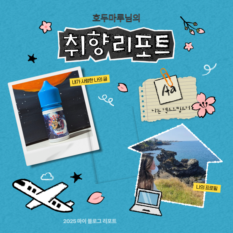  [2025 마이 블로그 리포트] 데이터로 채워보는 내 블로그 취향 리포트