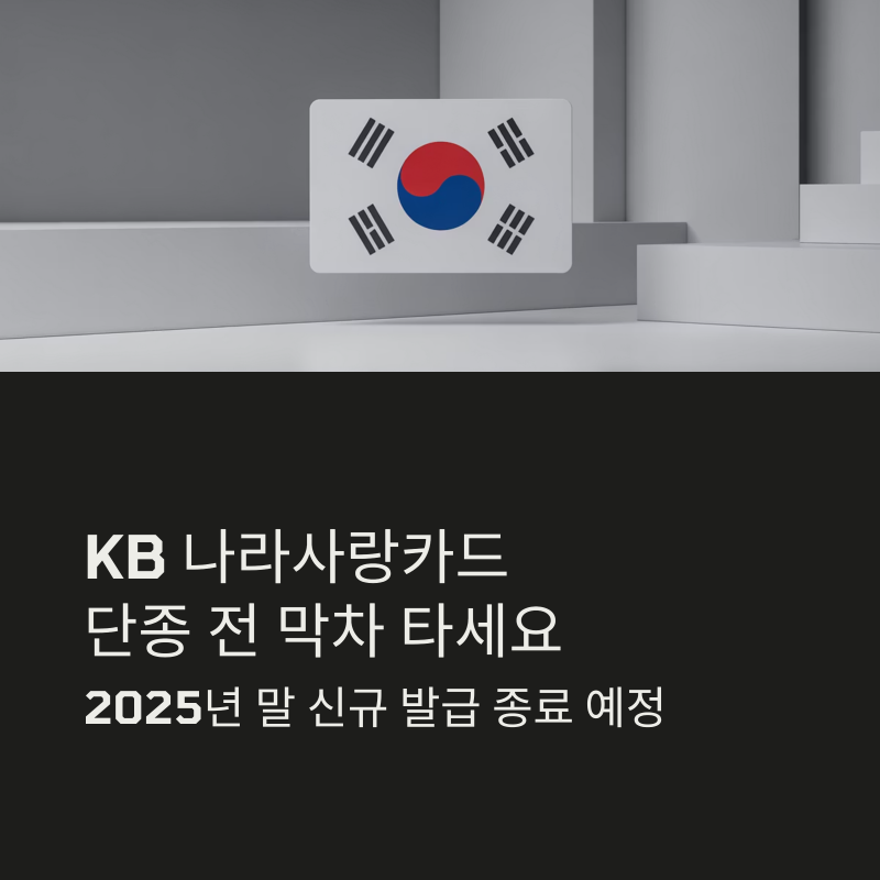 KB 국민 나라사랑카드 단종? K패스 혜택 막차 타는 법 총정리