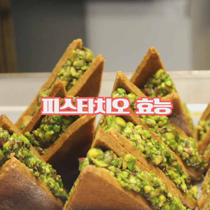  피스타치오 효능, 꾸준히 먹는 이유는 따로 있다