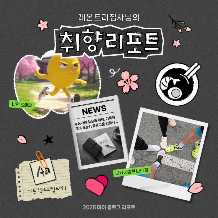  [2025 마이 블로그 리포트] 데이터로 채워보는 내 블로그 취향 리포트