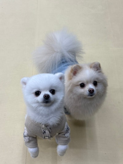 사진 2