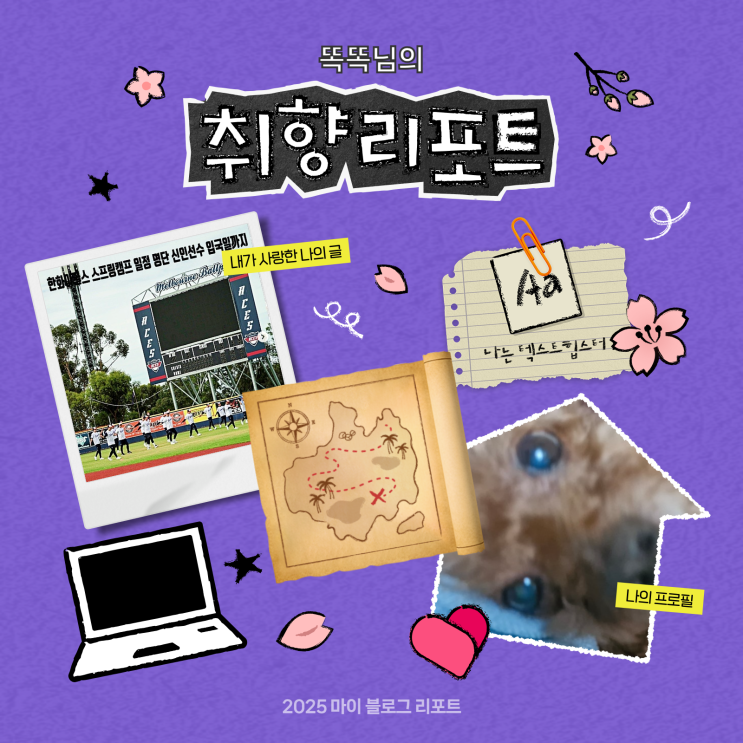  [2025 마이 블로그 리포트] 데이터로 채워보는 내 블로그 취향 리포트