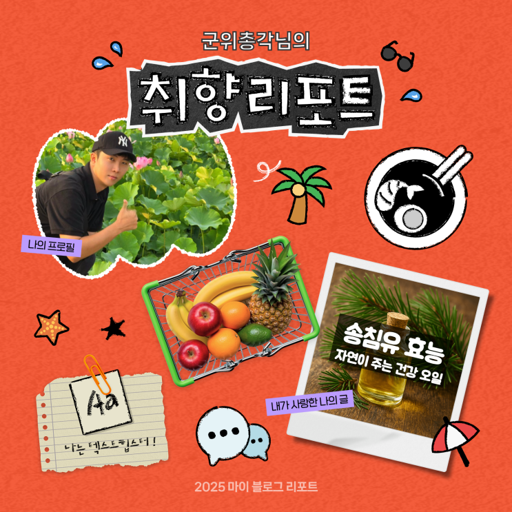  [2025 마이 블로그 리포트] 데이터로 채워보는 내 블로그 취향 리포트