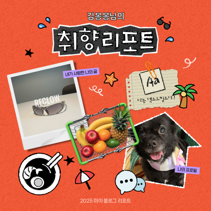  [2025 마이 블로그 리포트] 데이터로 채워보는 내 블로그 취향 리포트