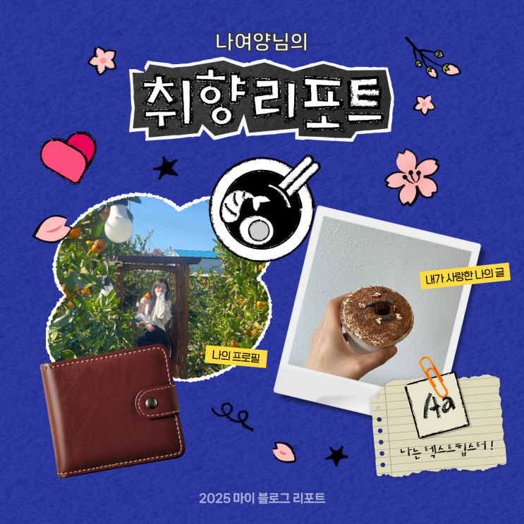  [2025 마이 블로그 리포트] 데이터로 채워보는 내 블로그 취향 리포트