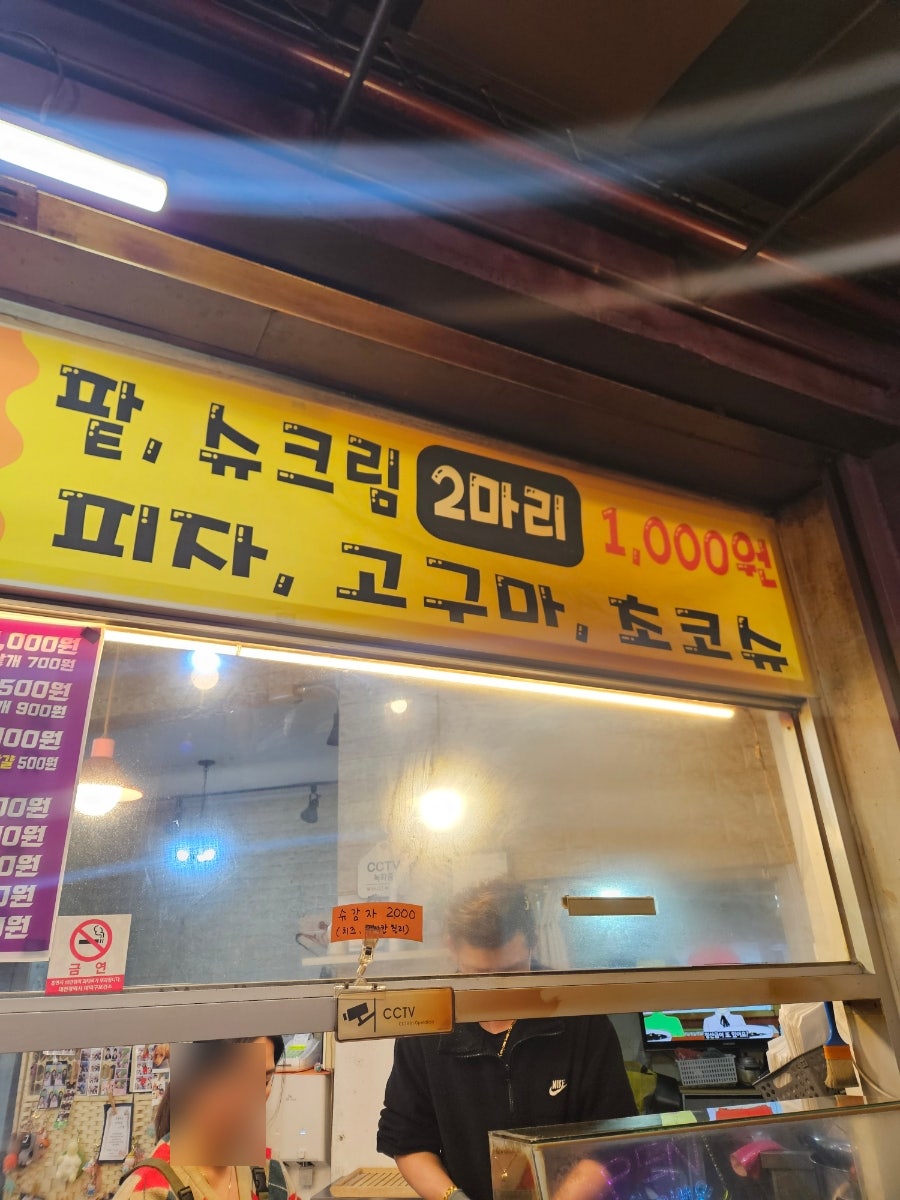 금빛잉어 사진 4