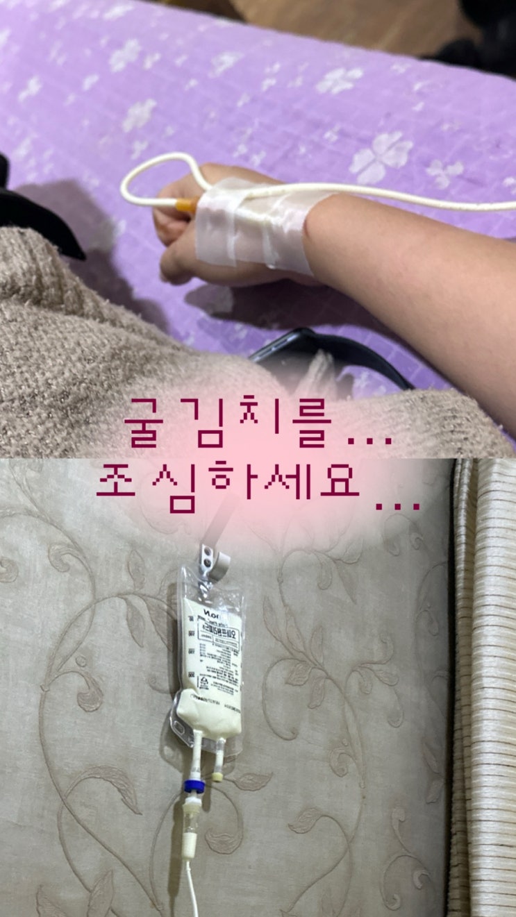  현생 복귀 일상