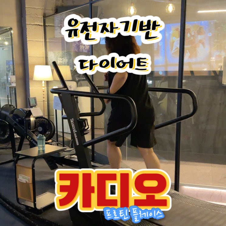  인계동 유전자 기반 다이어트 카디오 프로틴 플레이스