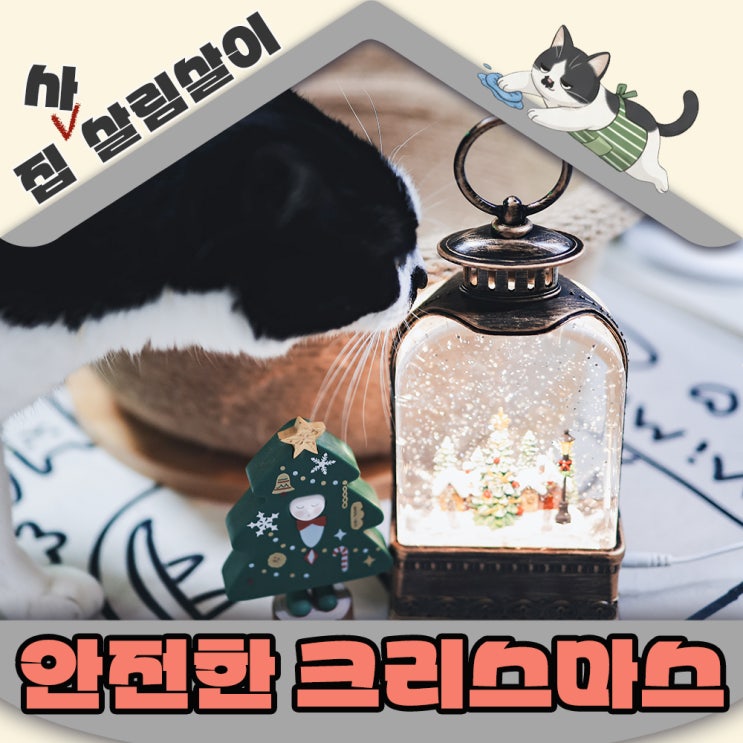  고양이 집사되고나서 크리스마스에 포기한 것들...저만그런거 아니죠?