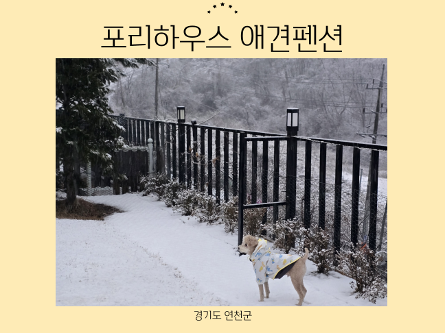 사진 2