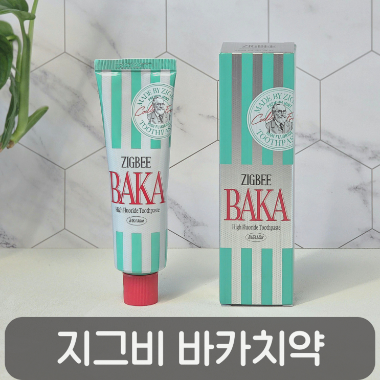  입냄새 치약 고민 끝!구취제거치약 추천 지그비 고불소 바카치약