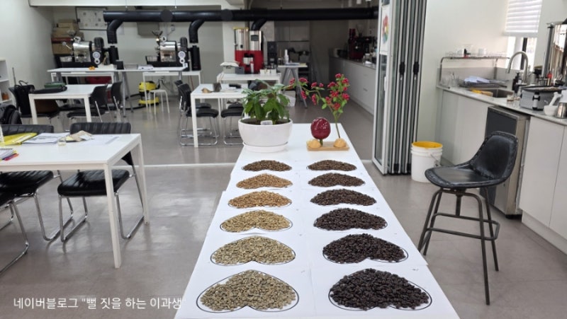 ☕️ SCA 로스팅 (intermediate)&KCA로스트마스터_로스팅 입문자가 알아야 할 기초 이론 숙지 및 통....