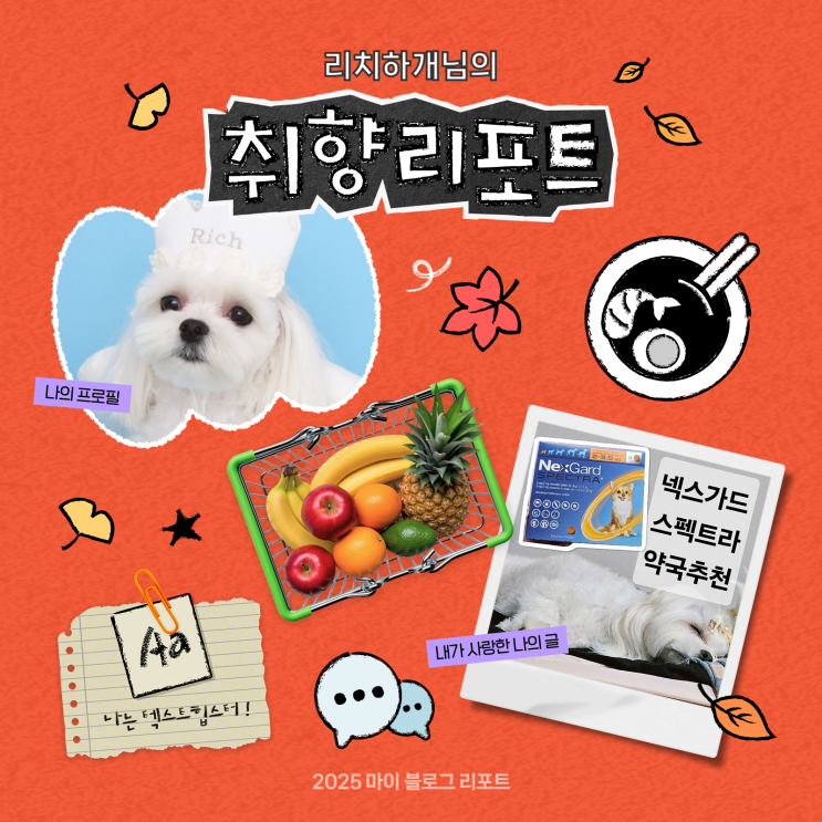  [2025 마이 블로그 리포트] 데이터로 채워보는 내 블로그 취향 리포트