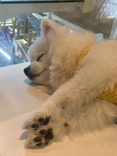 사진 3