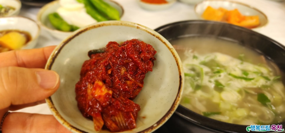 안옥선 사진 6