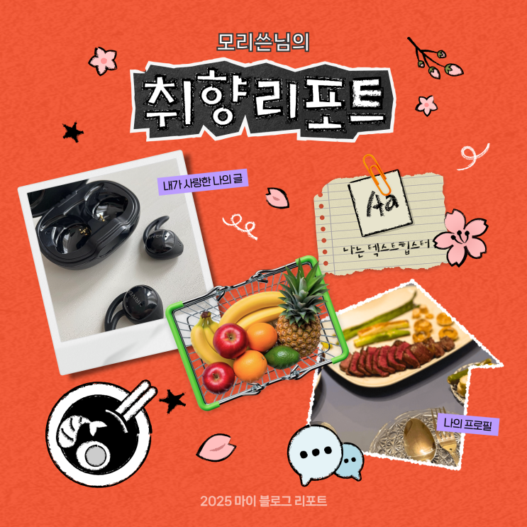  [2025 마이 블로그 리포트] 데이터로 채워보는 내 블로그 취향 리포트