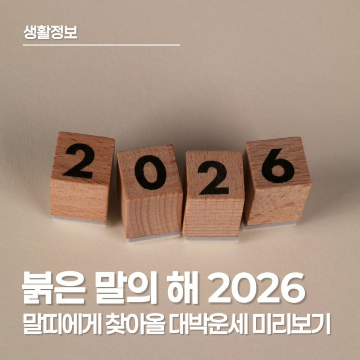  2026년 말띠 운세 미리보기 재물 애정 건강 궁합까지 한눈에 확인해보세요