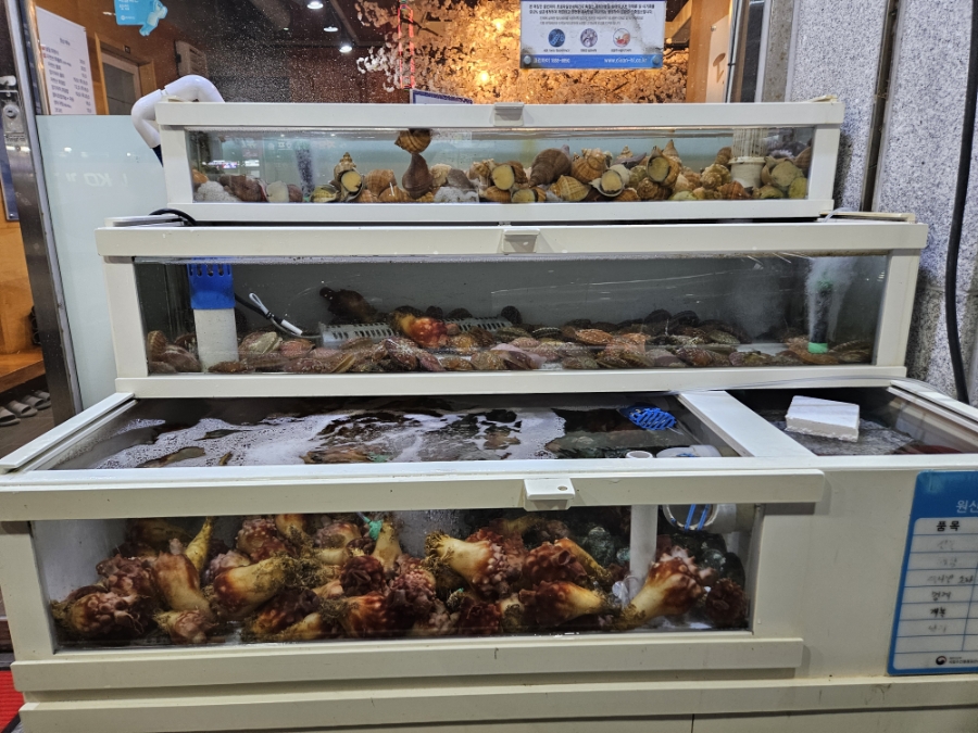 달달자연산회 사진 5