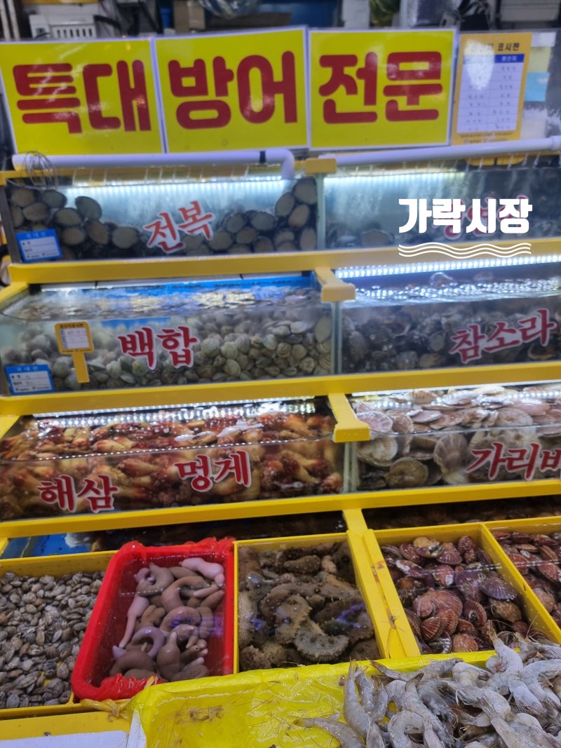 가락시장 가락몰 쇼핑 후기: 다농마트 온누리페이 할인과 수산시장 득템 팁