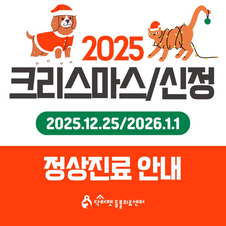  닥터펫동물의료센터 2025년 크리스마스 신정 정상진료 안내 (부산 진구 개금 공휴일 빨간날 일요일 24시 동물병원 응급실)
