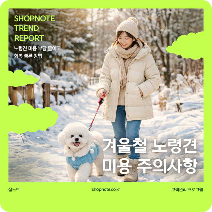  겨울철 노령견 미용, 부담 줄이고 회복 빠른 방법