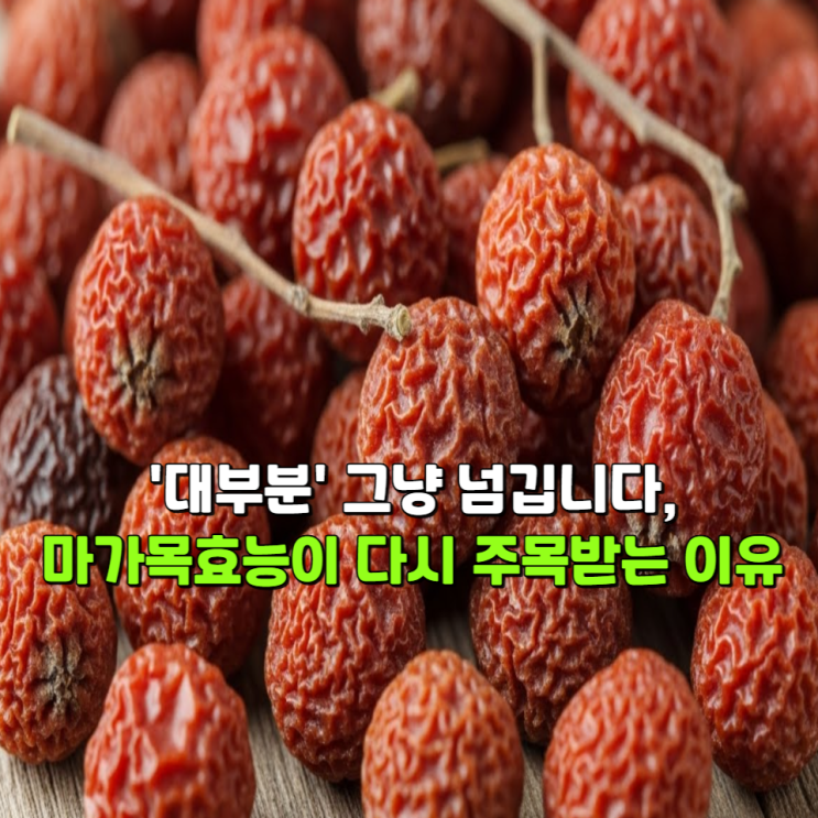  '대부분' 그냥 넘깁니다, 마가목효능이 다시 주목받는 이유