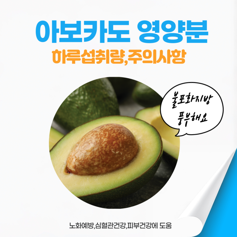 아보카도 영양성분 하루섭취량 칼로리 정리!