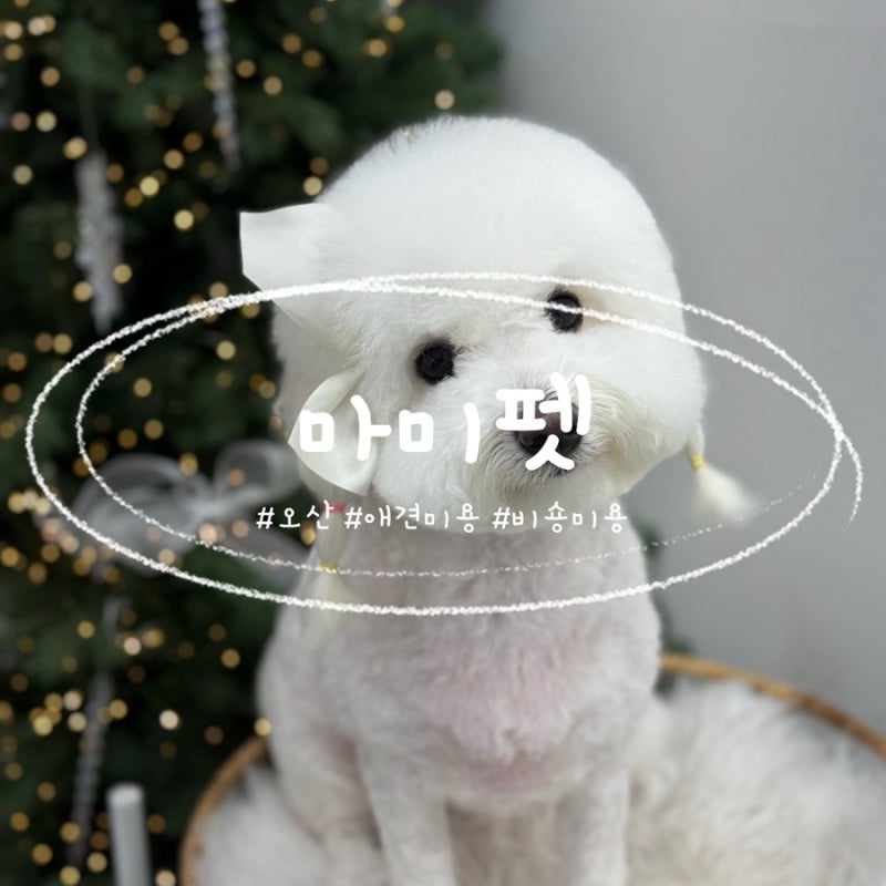 사진 3