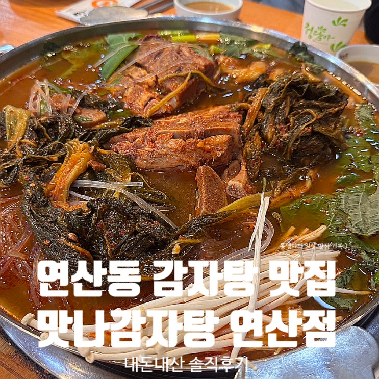  연산동 감자탕 맛집 맛나감자탕 연산점 푸짐한 목뼈감자탕 내돈내산 솔직후기