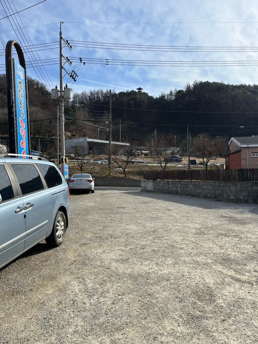 흑돼지와누렁이 사진 5
