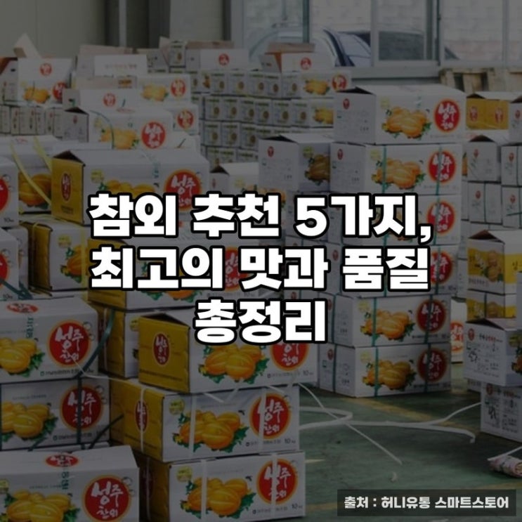  참외 추천 5가지, 최고의 맛과 품질 총정리