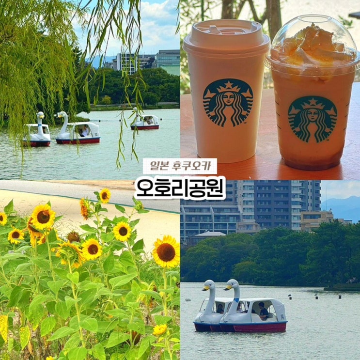  후쿠오카 자유여행 가볼만한곳, 오호리공원 오리배 카페 스타벅스 후기