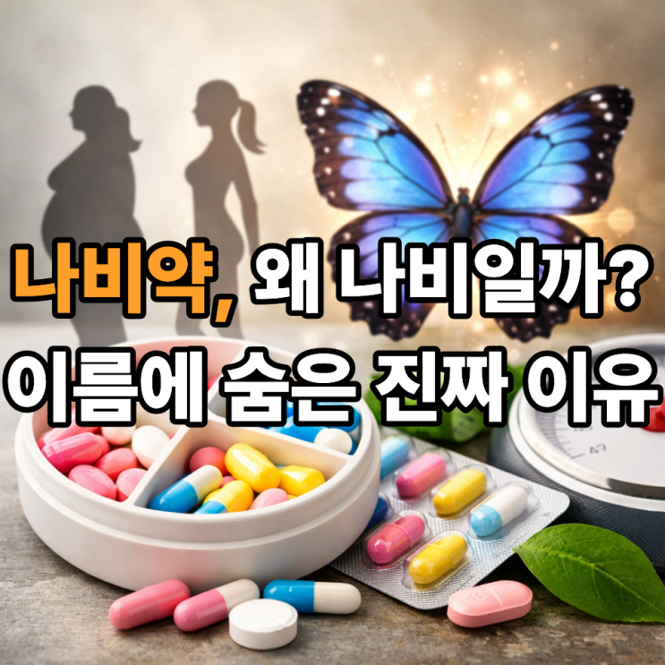  나비약 이름의 유래, 왜 ‘나비’일까? 뜻과 배경 한눈에 정리