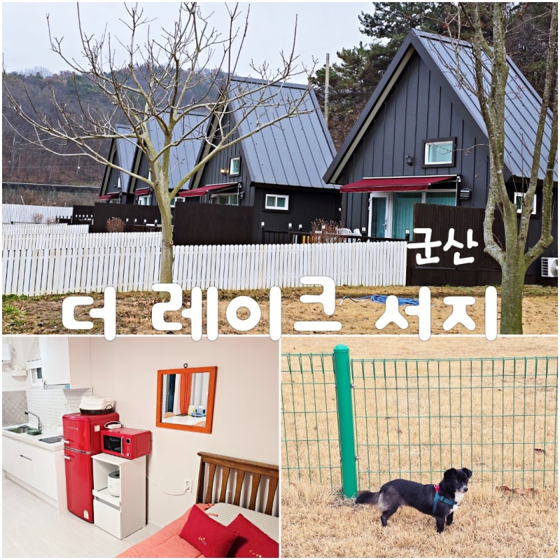 사진 3