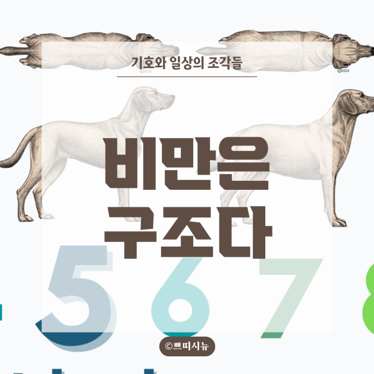  한국 반려견 비만 구조 분석: 연령, 생활환경이 만든 차이