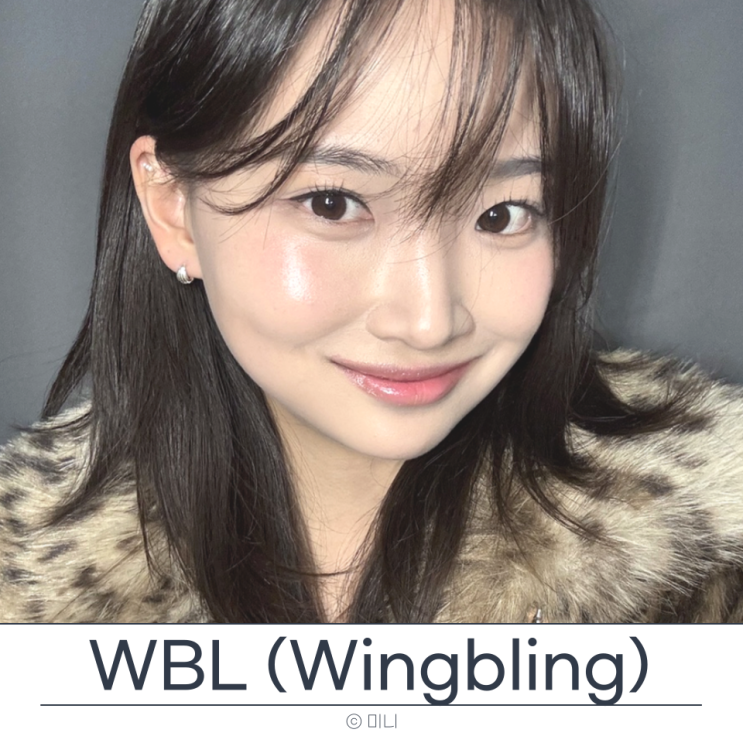  실버 925 귀걸이 WBL 윙블링 링귀걸이 3종