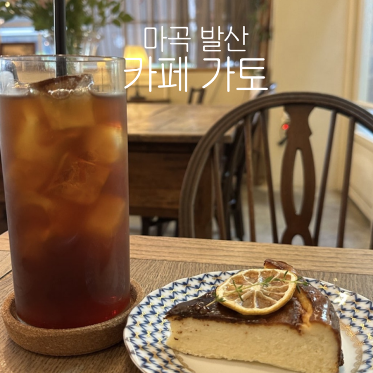  [카페 가토] 발산 마곡 애견동반 가능 분위기 좋은 카페 내돈내산 추천