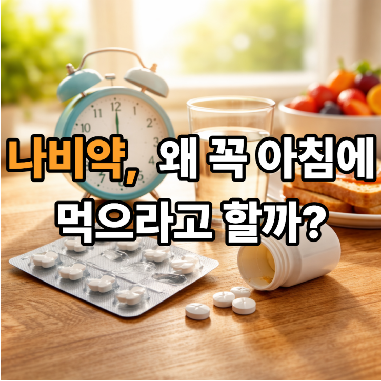  나비약 복용 시간은 왜 아침일까? 효과·부작용 줄이는 타이밍 정리