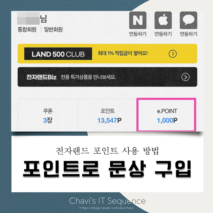  전자랜드 잔여 포인트 사용 방법; 포인트로 문화상품권 구입하기