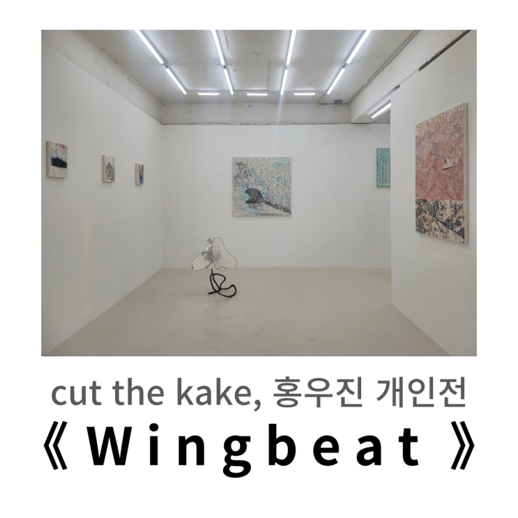  망원동 전시 : 컷더케이크, 홍우진 개인전 《 Wingbeat 》방문기