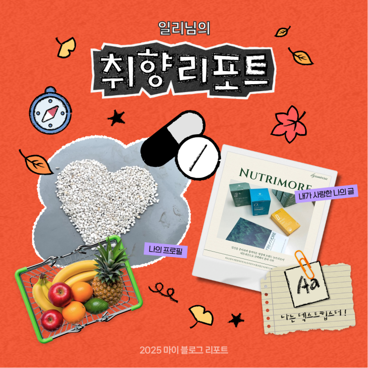  [2025 마이 블로그 리포트] 데이터로 채워보는 내 블로그 취향 리포트