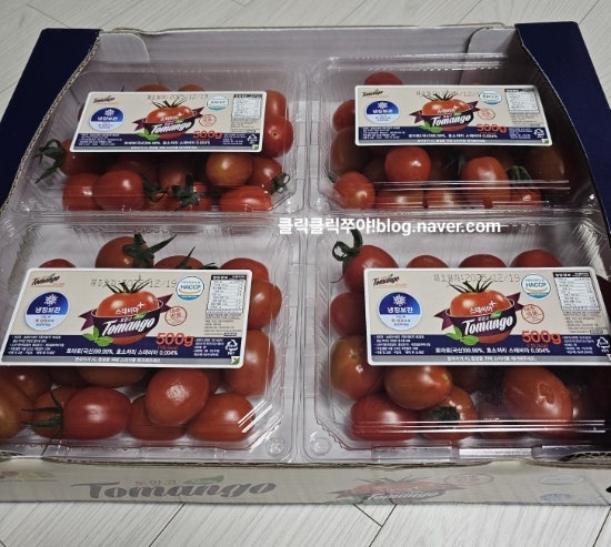 대추방울토마토 토망고 스테비아 방울토마토~