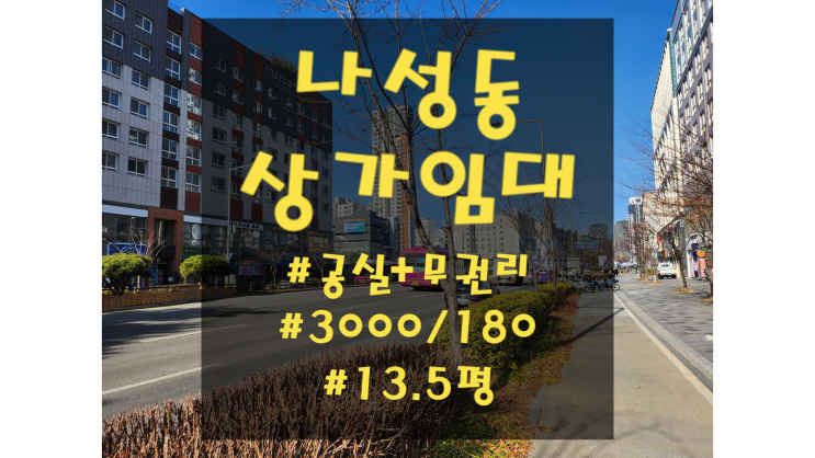  세종시 나성동 상가 임대 | BRT도로변 | 먹자골목 인근