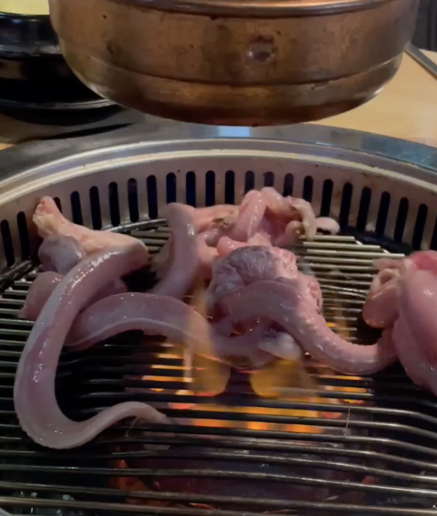  [서울:도산공원]청사포 울림 | 부산 감성 그대로 옮긴 도산공원 맛집