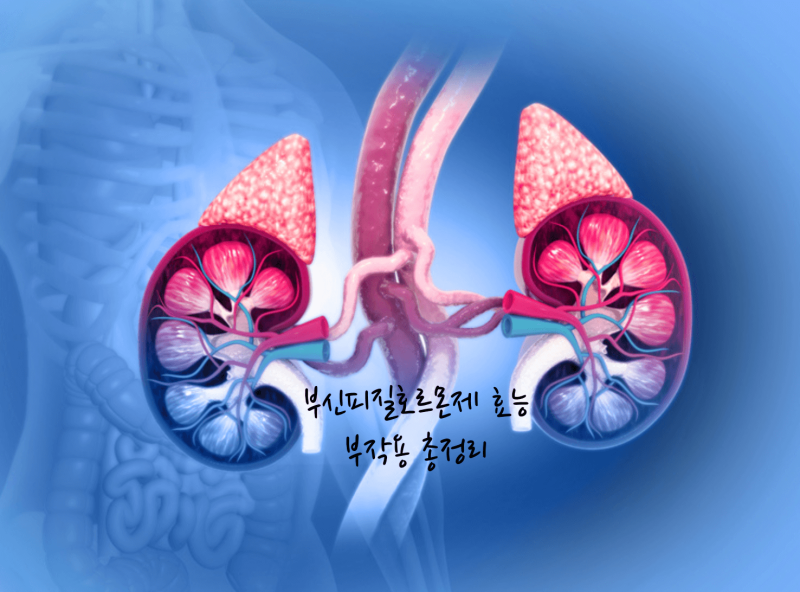 부신피질호르몬제 효능 부작용 총정리
